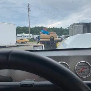 Meet your Posher, Lizzy